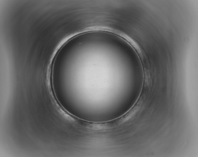 X0000112861102200908211316