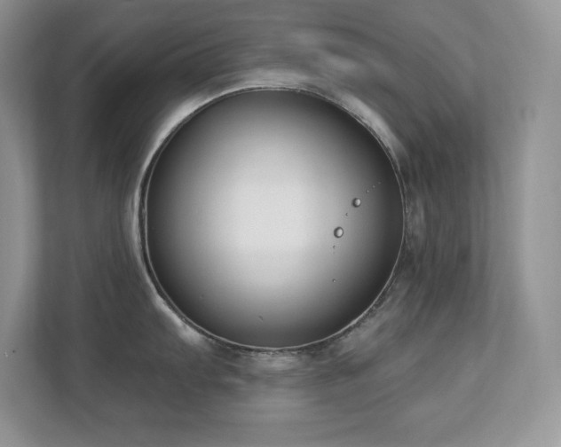 X0000112861103200908211316