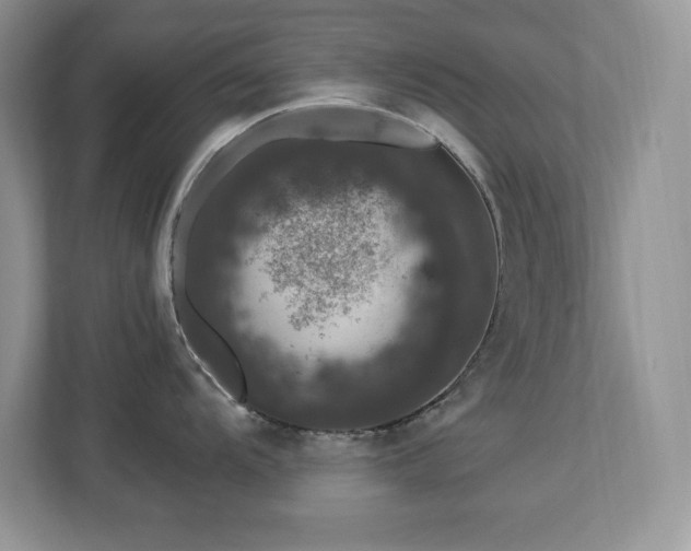 X0000112861104200908211316