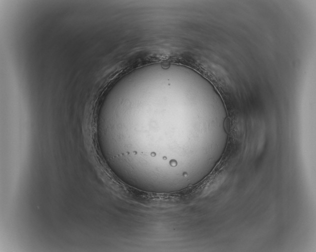 X0000112861105200908211315