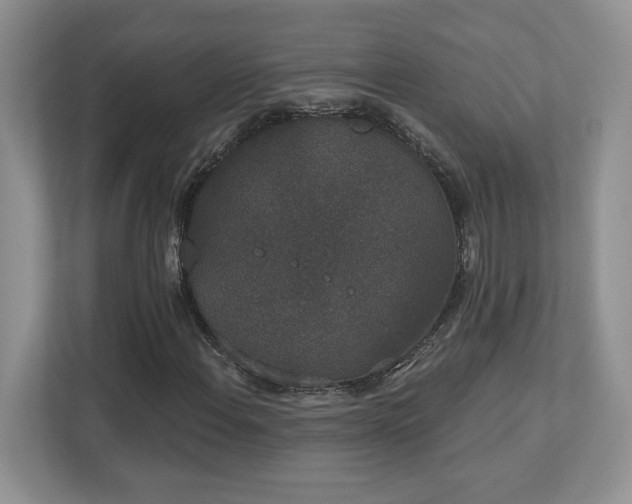 X0000112861108200908211315