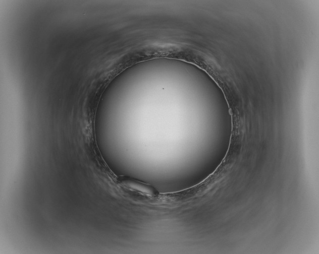 X0000112861109200908211315