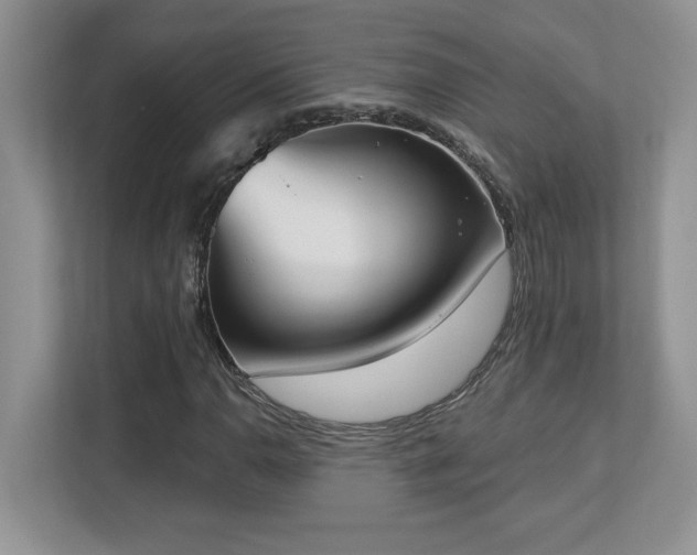 X0000112861110200908211315