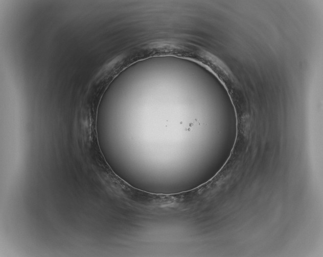 X0000112861111200908211315