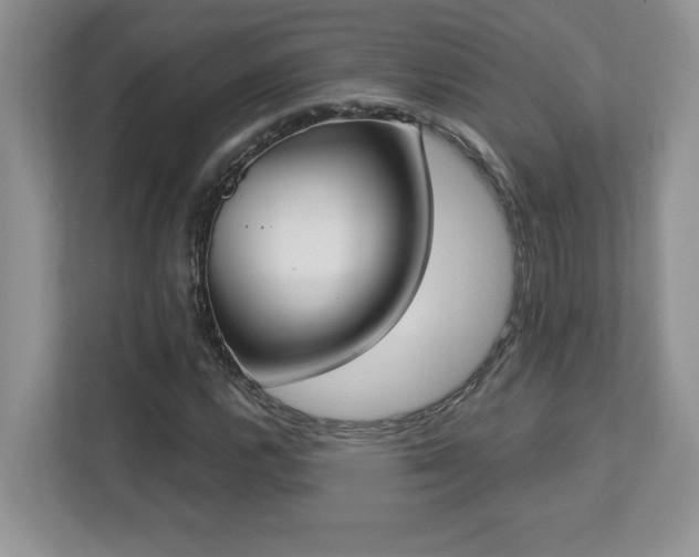 X0000112861112200908211315