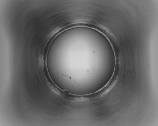 X0000112861113200908211315