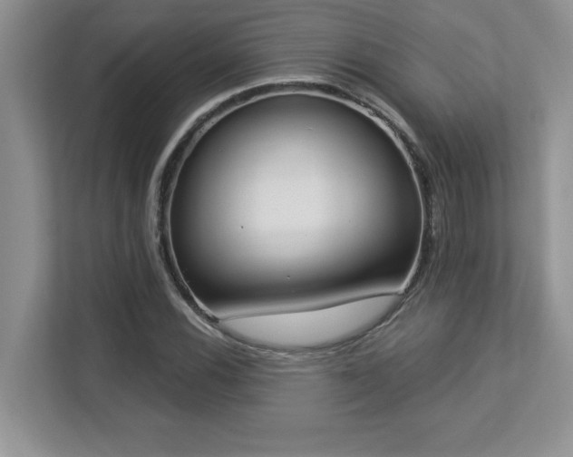X0000112861116200908211315