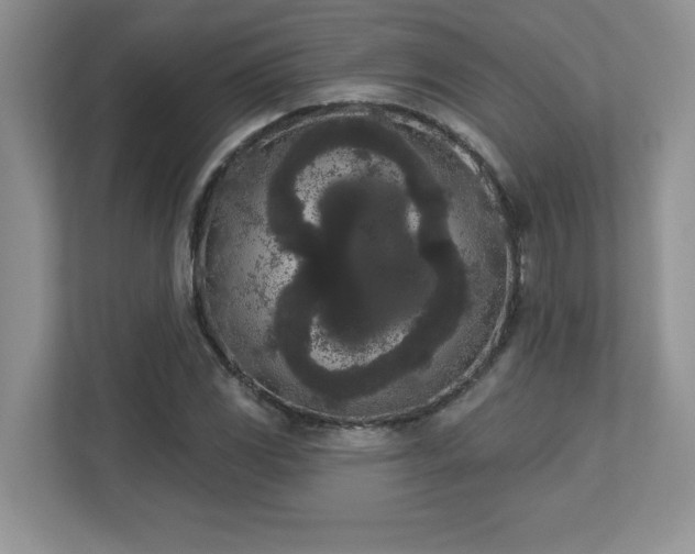 X0000112861117200908211315