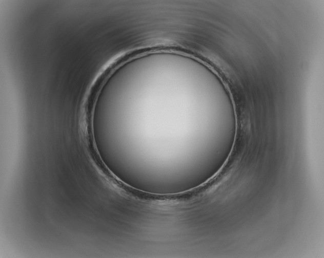 X0000112861118200908211315