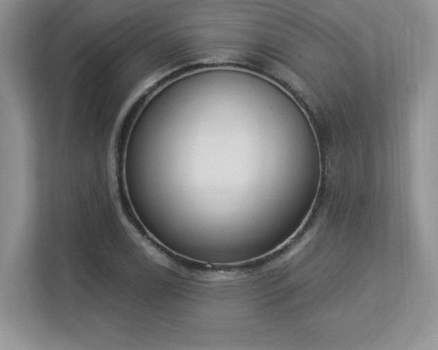 X0000112861122200908211315