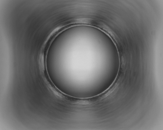 X0000112861123200908211315