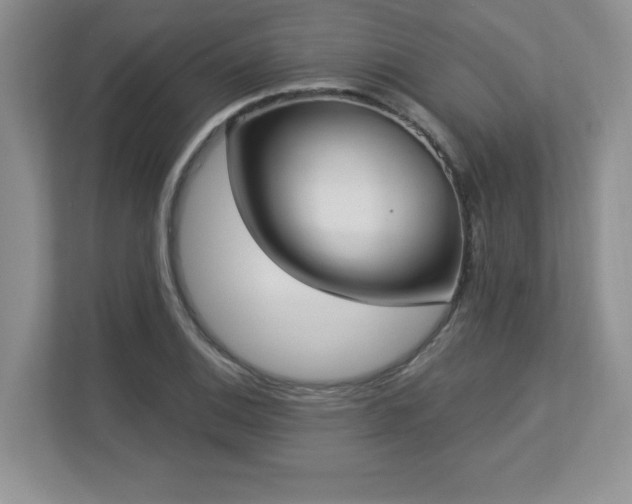 X0000112861124200908211315