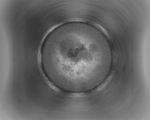 X0000112861125200908211315