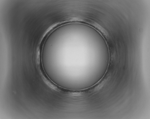 X0000112861126200908211315
