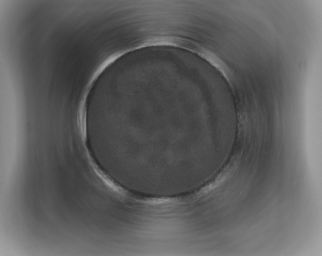 X0000112861127200908211315