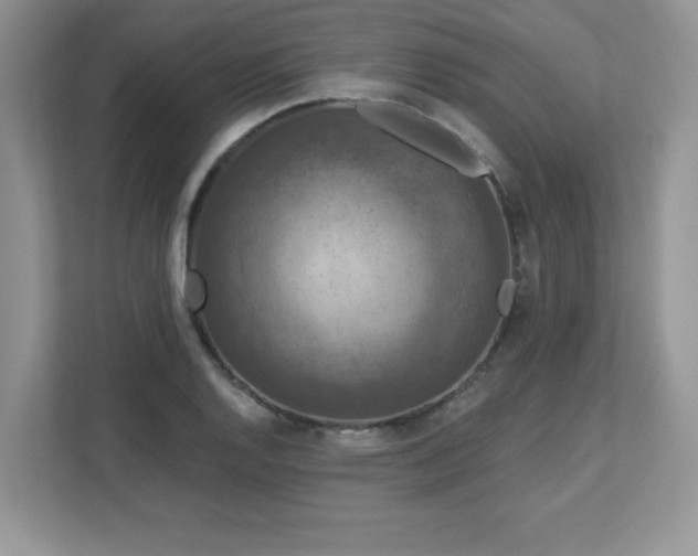X0000112861128200908211315