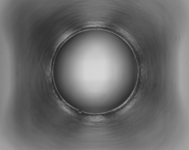 X0000112861129200908211315