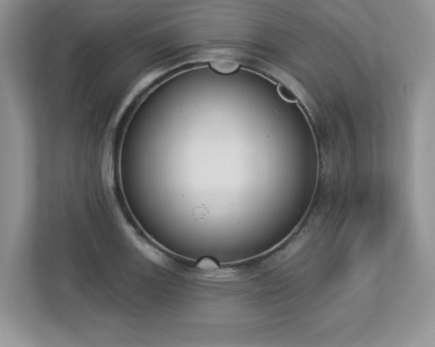 X0000112861131200908211315