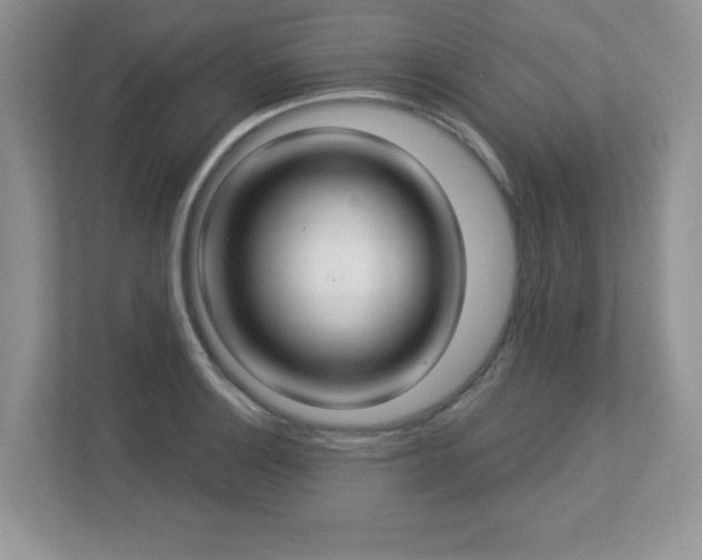 X0000112861132200908211315