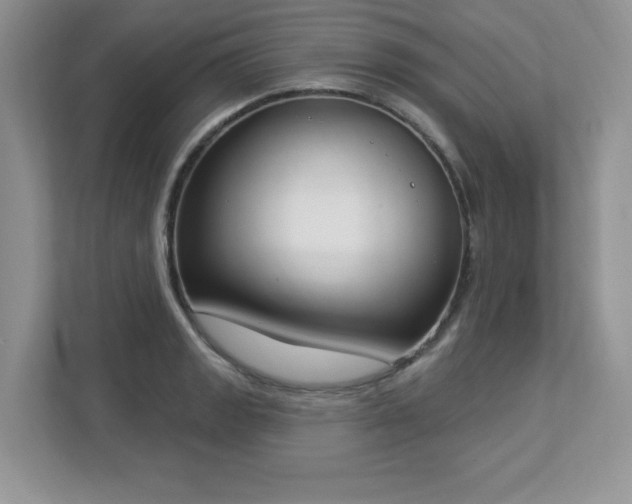 X0000112861133200908211315