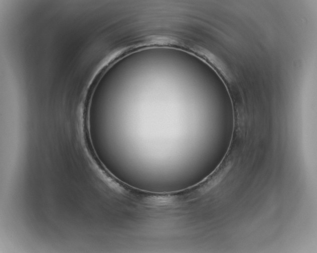 X0000112861134200908211315