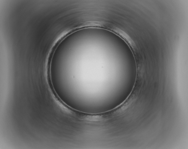 X0000112861135200908211315