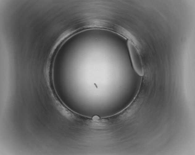 X0000112861138200908211315