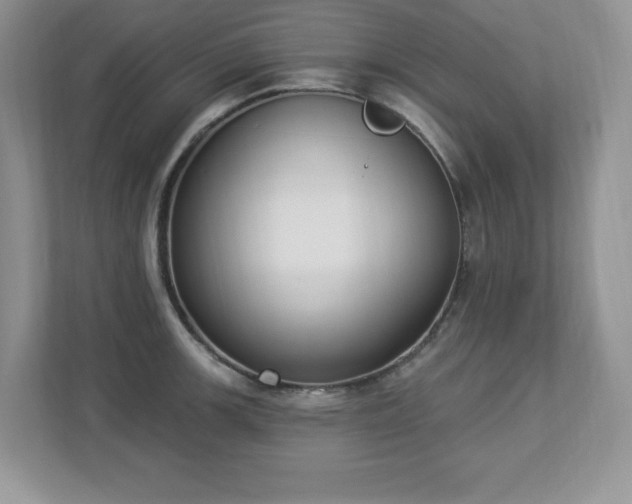 X0000112861139200908211315