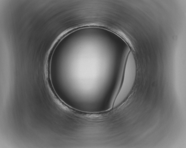 X0000112861140200908211316