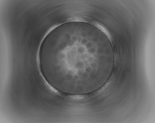 X0000112861141200908211316