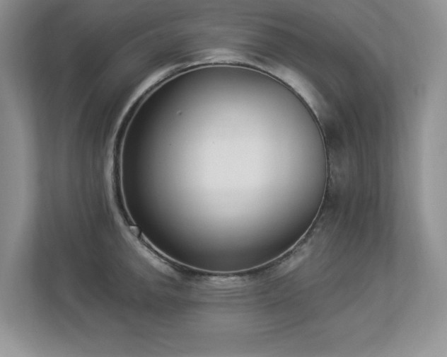 X0000112861142200908211316