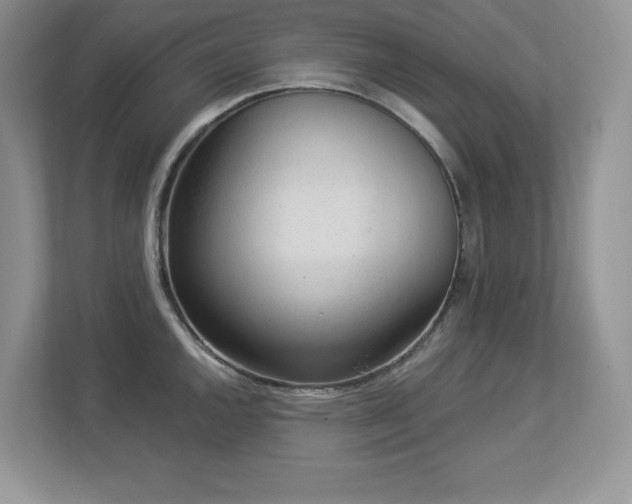 X0000112861144200908211316