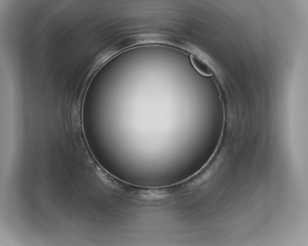 X0000112861145200908211316