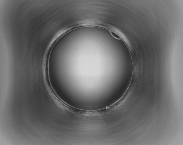 X0000112861146200908211316