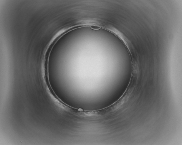 X0000112861147200908211316