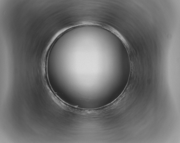 X0000112861148200908211316