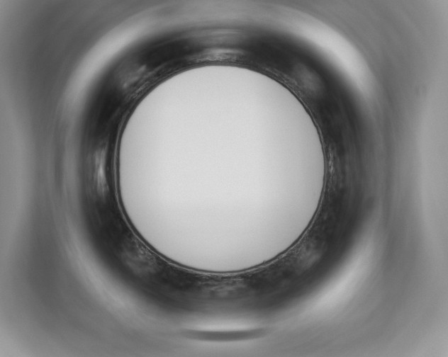 X0000112861150200908211316