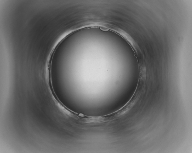 X0000112861151200908211316