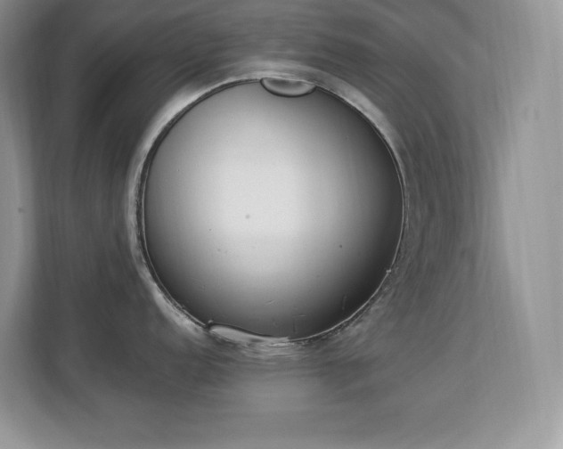 X0000112861152200908211316