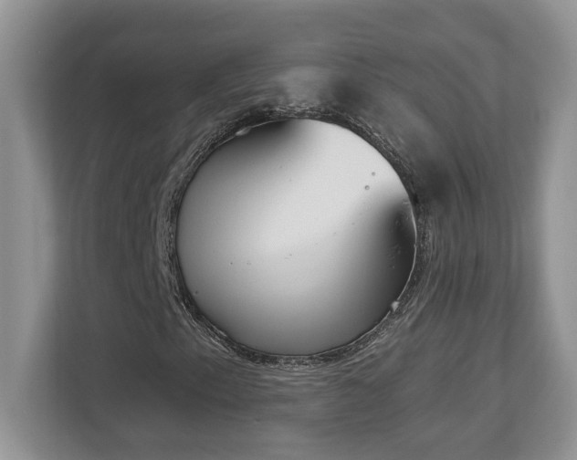 X0000112861153200908211315