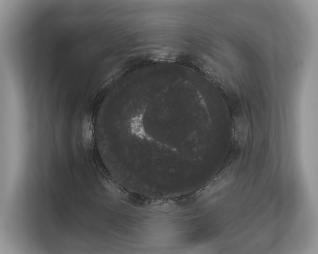 X0000112861154200908211315