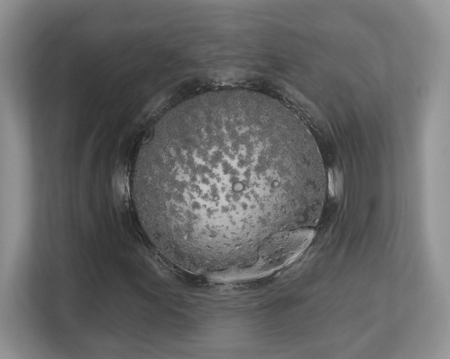 X0000112861155200908211315