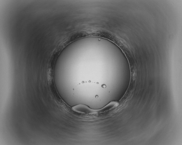 X0000112861156200908211315