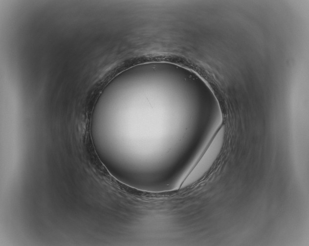 X0000112861157200908211315