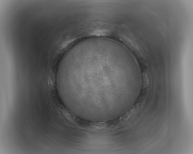 X0000112861158200908211315
