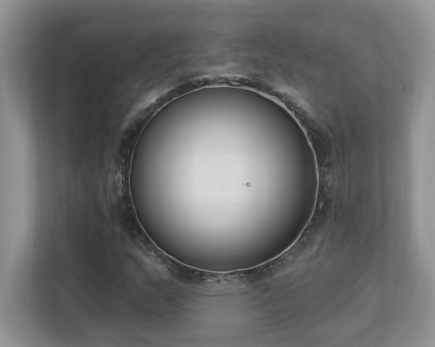 X0000112861159200908211315