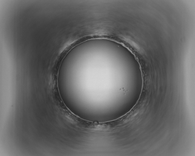 X0000112861160200908211315