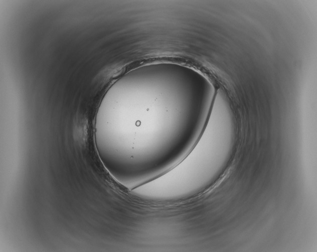 X0000112861161200908211315