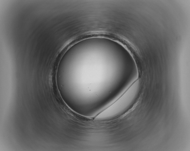 X0000112861162200908211315