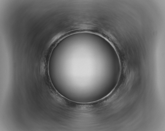 X0000112861163200908211315